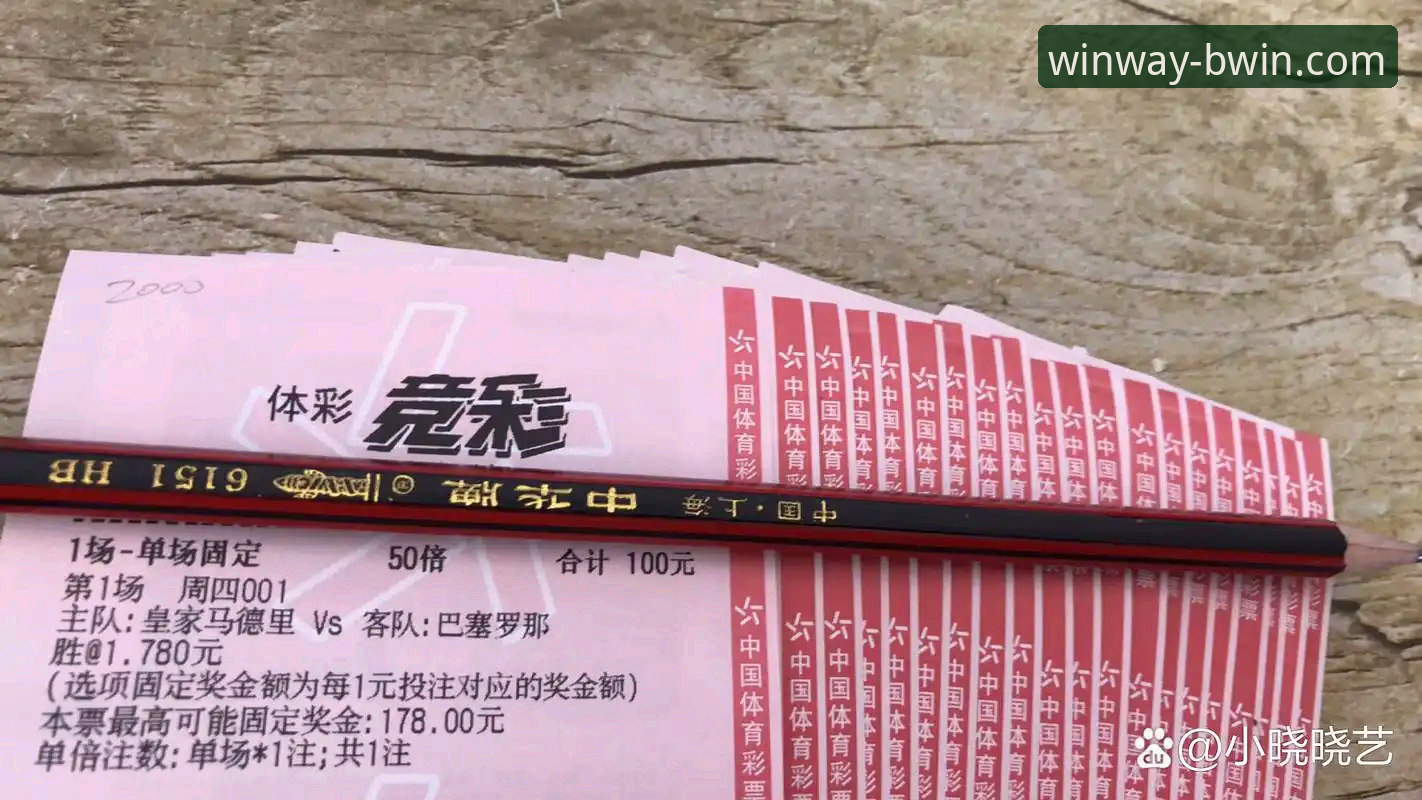 BWIN必赢平台全面评测：新手必看的操作指南与体验报告