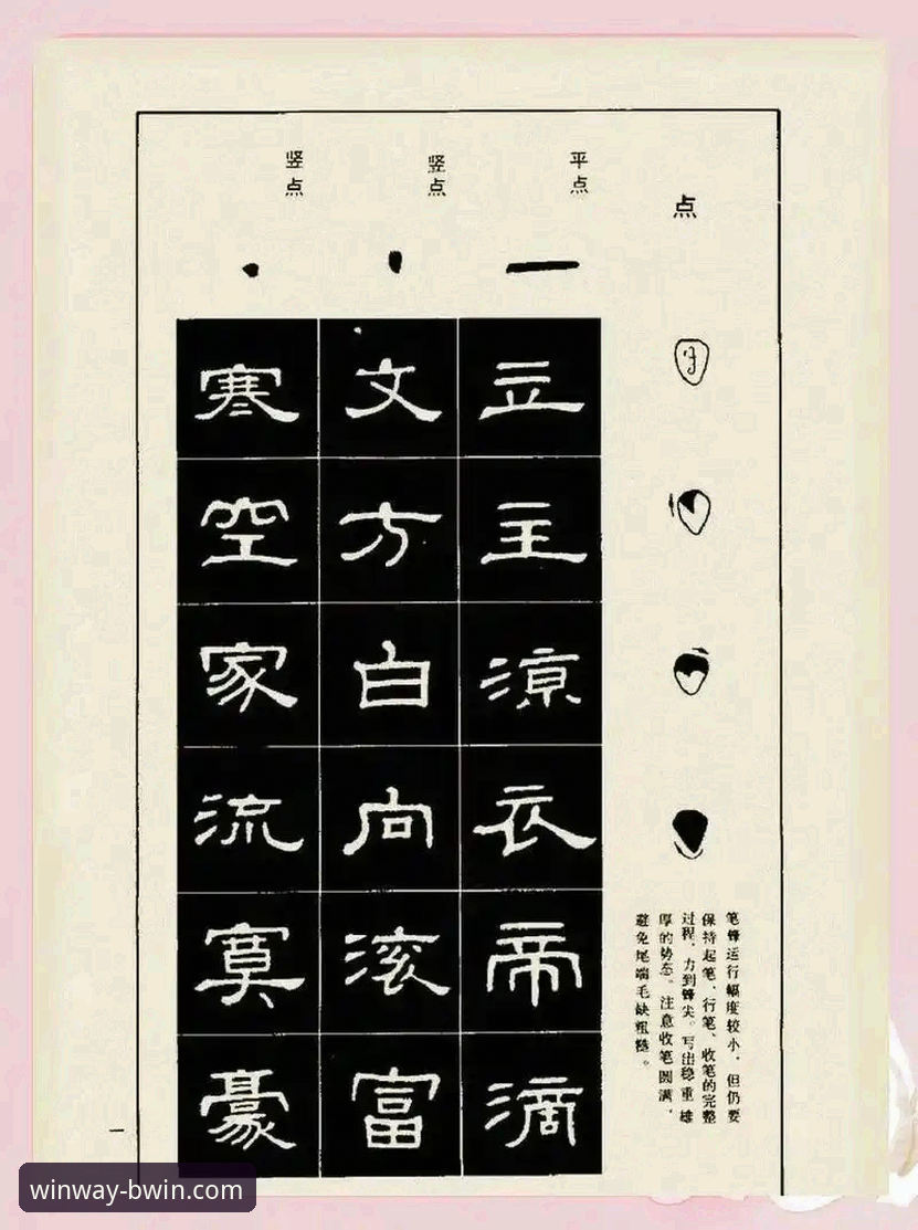 从入门到精通：我的BWIN必赢平台使用心得与完整指南