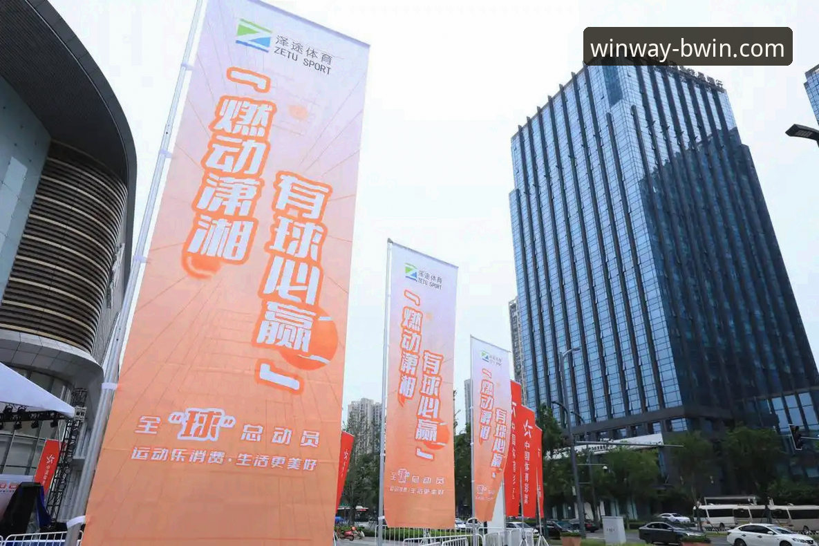 BWIN必赢登录问题全面解析与创新解决方案