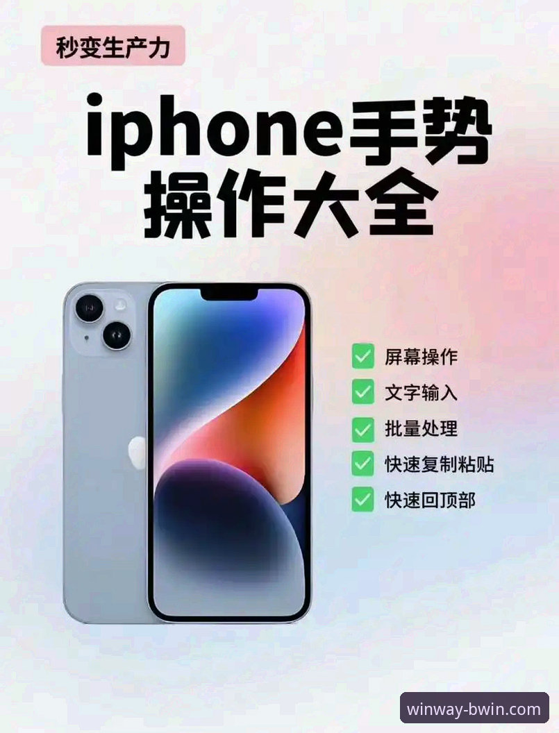 BWIN必赢手机版从入门到精通：老用户手把手操作教程