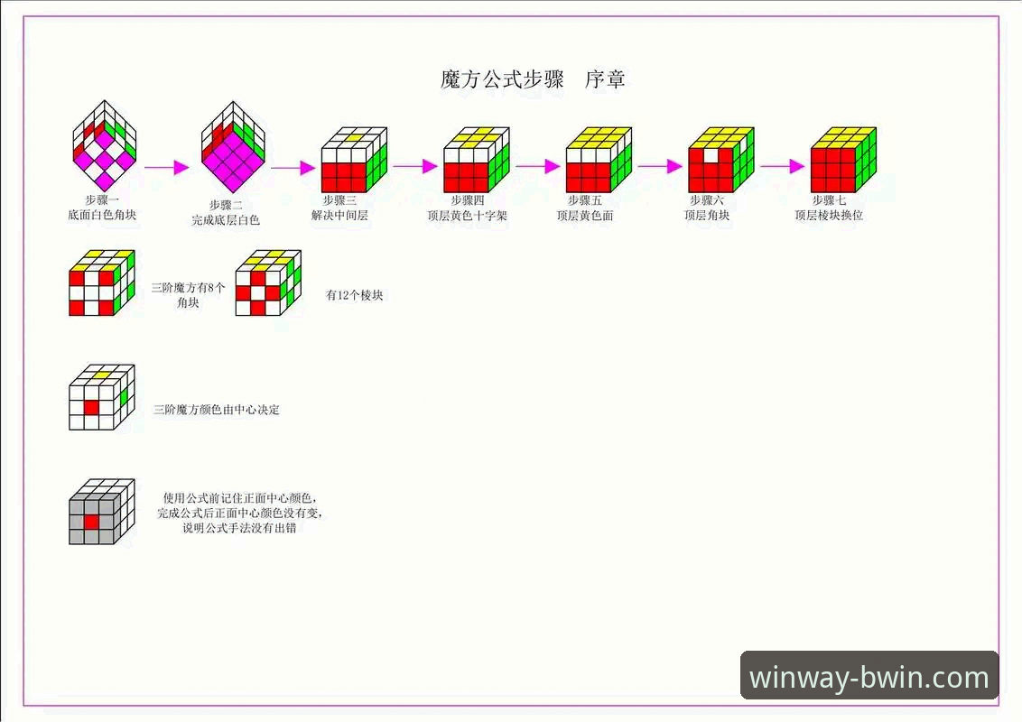 BWIN必赢手机版 BWIN必赢手机版从入门到精通:老用户手把手操作教程